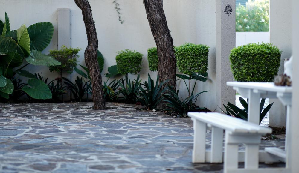 The Hedge Guesthouse Kuruman Εξωτερικό φωτογραφία